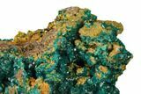 Gemmy Dioptase Clusters with Mimetite - N'tola Mine, Congo #148465-1